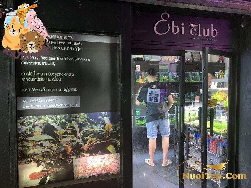 Phỏng Vấn: Cửa Hàng Tép Ebiclub Thái Lan