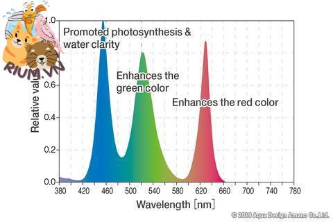 Biểu đồ quang phổ đèn ADA
