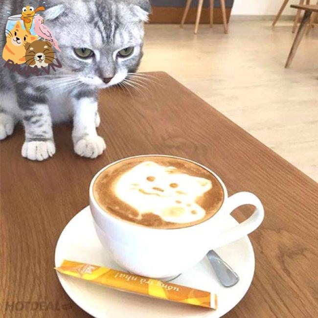 Café Mèo