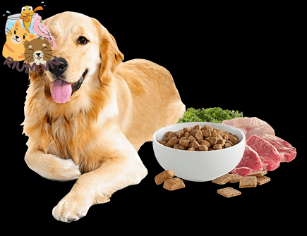 Những chất dinh dưỡng cần thiết cho chó