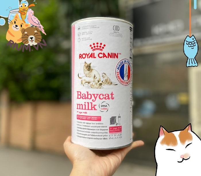 Cách Chế Biến Sữa Cho Mèo Con