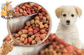 Hình dạng độc đáo của viên thức ăn cho chó