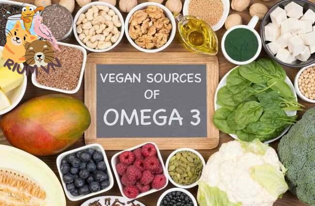 Vai trò của axit béo omega-3