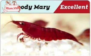 Bloody Mary Shrimp