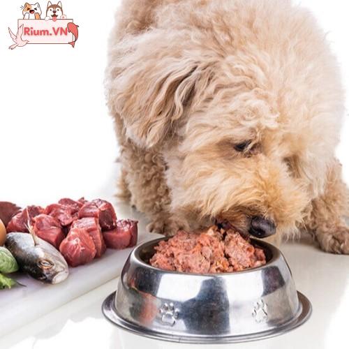 Liệu việc ăn thịt sống có làm cho chó trở nên hung hăng?